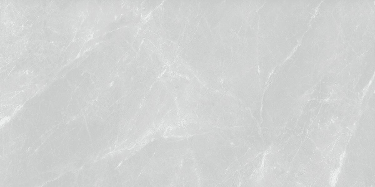 RAK Ceramics - Vitrified Tiles design 4