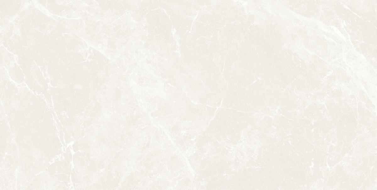 RAK Ceramics - Vitrified Tiles design 2