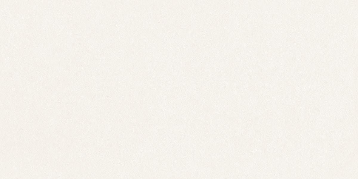 RAK Ceramics - Vitrified Tiles design 3